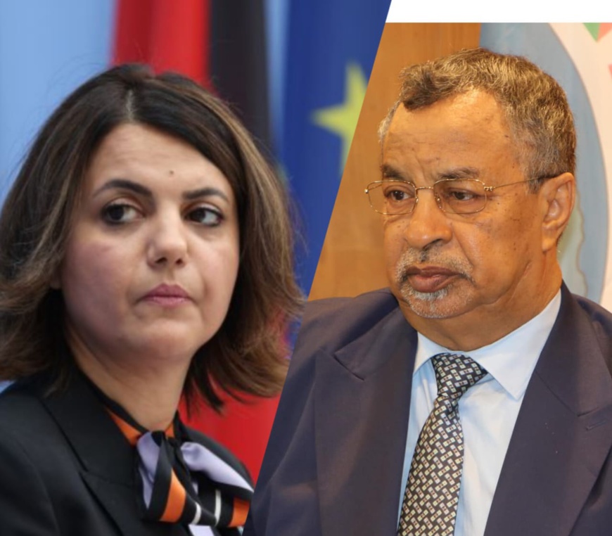 Convergence de vues entre Tripoli et N'Djamena concernant la situation au Niger