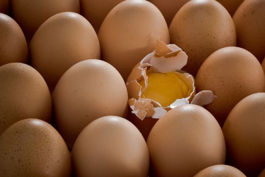 Tchad : pénurie d’œufs à N’Djamena