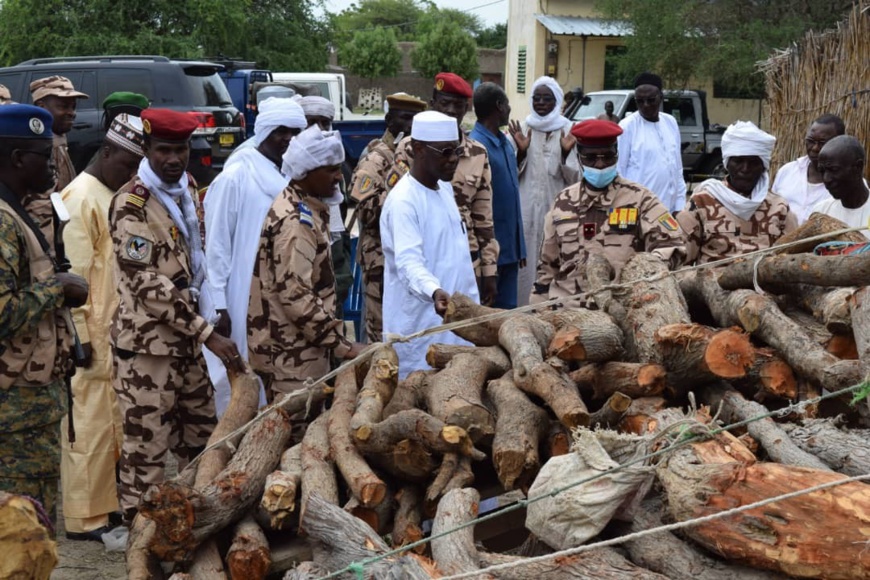 Tchad : Des individus interpellés pour destruction de l’environnement à Massakory Tchad : Des individus interpellés pour destruction de l’environnement à Massakory