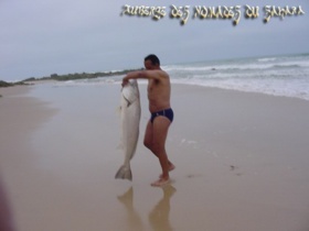 Le Forum Crans-Montana : Dakhla, Perle des vents, à l'honneur Le Forum Crans-Montana : Dakhla, Perle des vents, à l'honneur