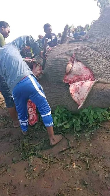 Par Justin KABUMBA,  Journaliste à Goma