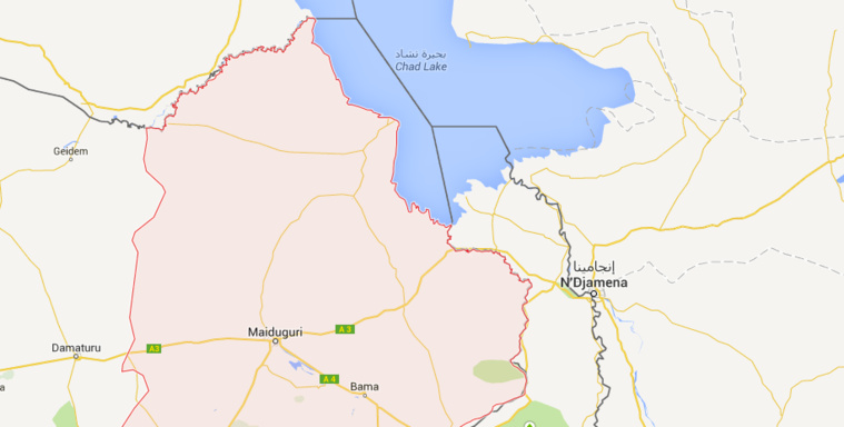 Nigeria : Impressionnants dégâts à Malam Fatori, l'armée tchadienne neutralise une résistance