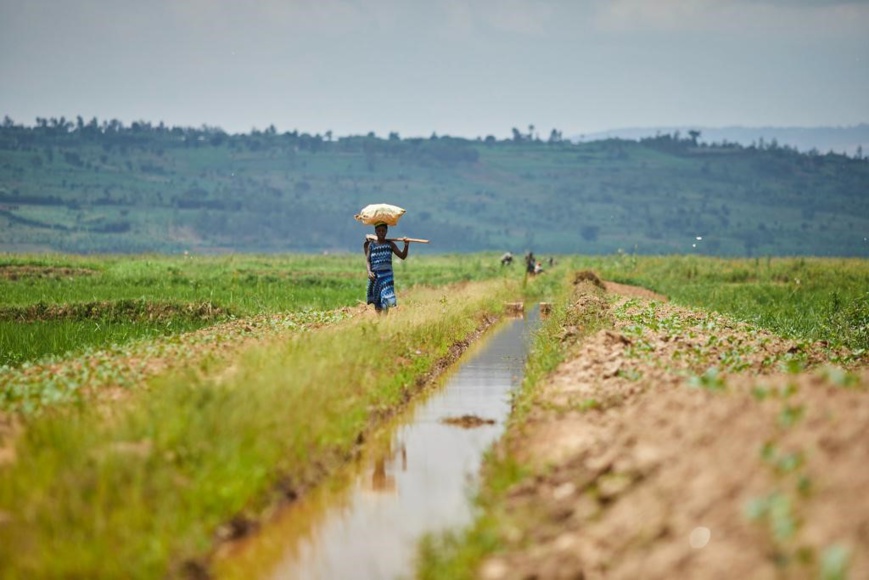 Congo : développer les infrastructures durables et améliorer la gouvernance économique sont les priorités