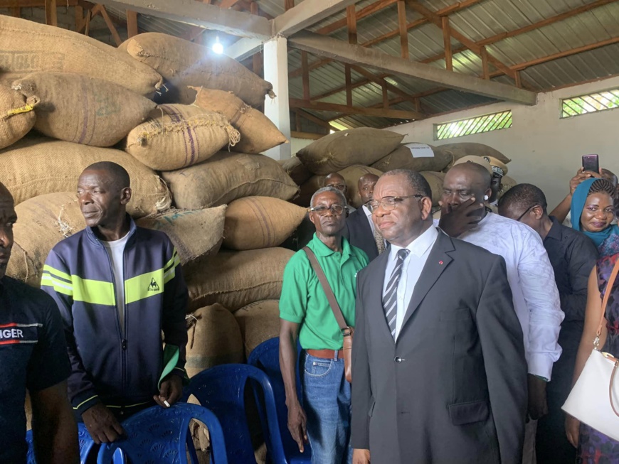 Cameroun : le pays atteint un nouveau prix record de 2015 FCFA le kilogramme de cacao Cameroun : le pays atteint un nouveau prix record de 2015 FCFA le kilogramme de cacao