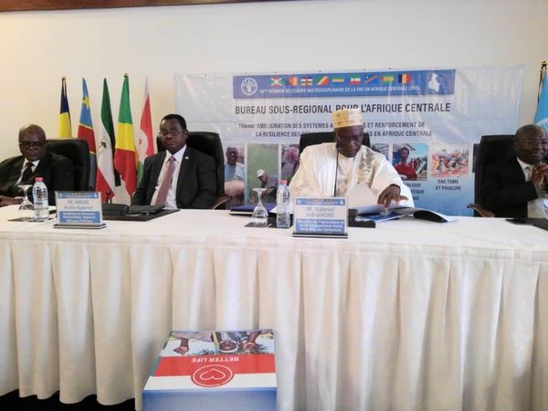 Afrique centrale : sortir l’agriculture de la précarité pour en faire un levier de développement