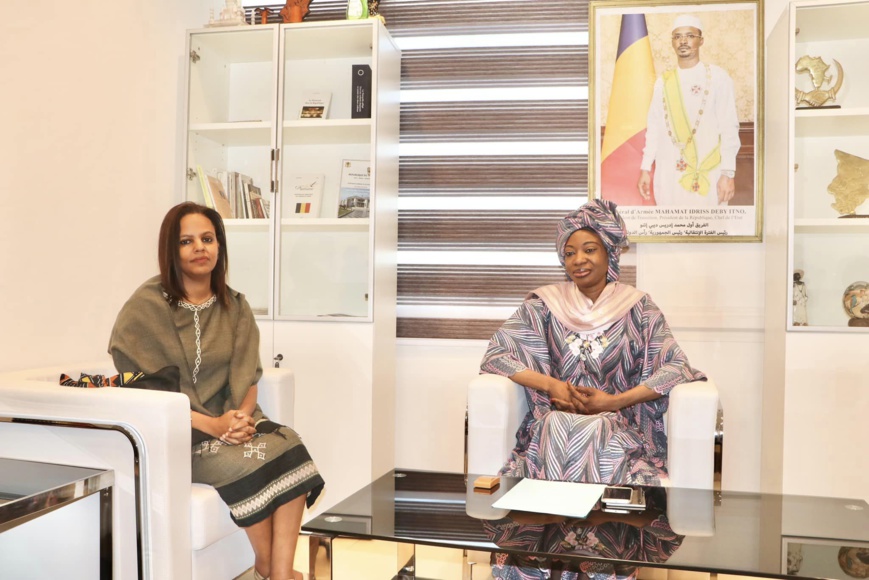 Tchad : la secrétaire d'État aux Affaires étrangères reçoit une délégation de l'AMDC Tchad : la secrétaire d'État aux Affaires étrangères reçoit une délégation de l'AMDC