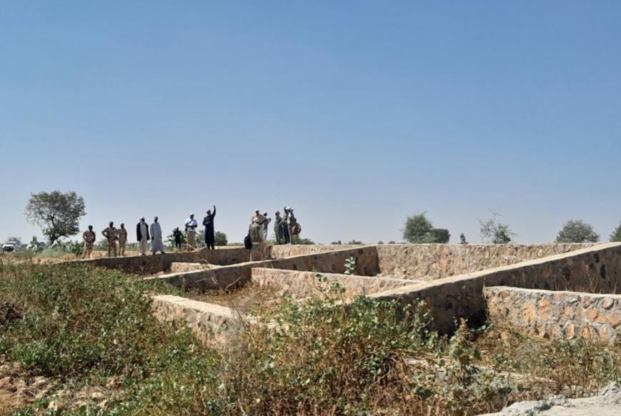 Tchad : des solutions innovantes pour l'insécurité alimentaire dans l'Est grâce au PARIIS-TD