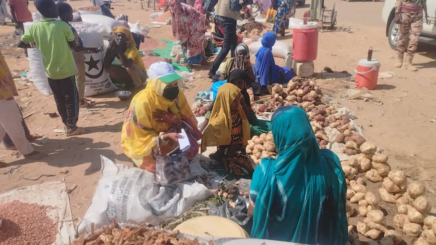 Tchad : une campagne dynamique au marché d'Ati pour le 'Oui' au référendum Tchad : une campagne dynamique au marché d'Ati pour le 'Oui' au référendum