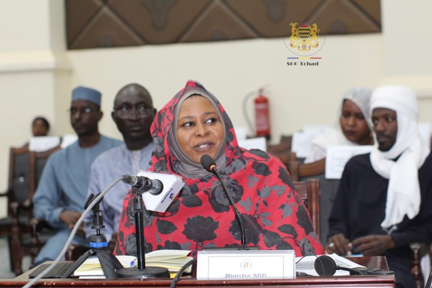 Tchad : examen et à l'adoption d’un projet de loi au Conseil national de transition Tchad : examen et à l'adoption d’un projet de loi au Conseil national de transition