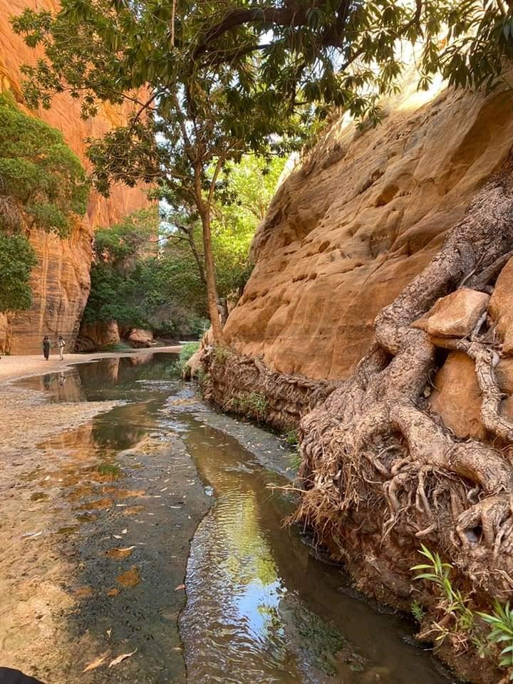 Tchad : Les passionnés de la nature et de l'histoire ancienne sont attendus dans la RNCE à partir du 10 février