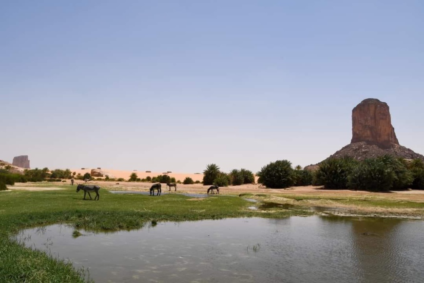 Tchad - Ennedi : un paradis caché au milieu du Sahara, à découvrir absolument ! Tchad - Ennedi : un paradis caché au milieu du Sahara, à découvrir absolument !