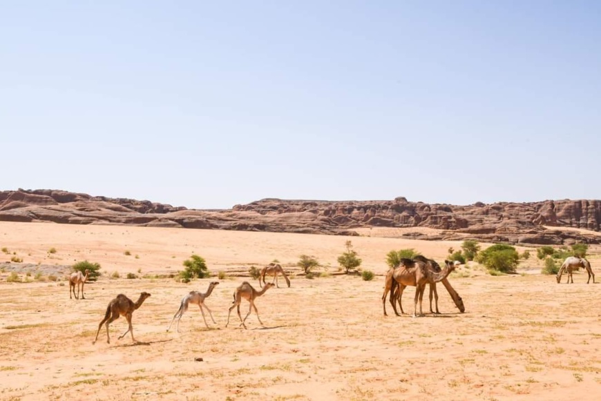 Tchad - Ennedi : un paradis caché au milieu du Sahara, à découvrir absolument ! Tchad - Ennedi : un paradis caché au milieu du Sahara, à découvrir absolument !