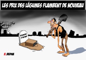 Quelle météo politique pour l'Algérie ?