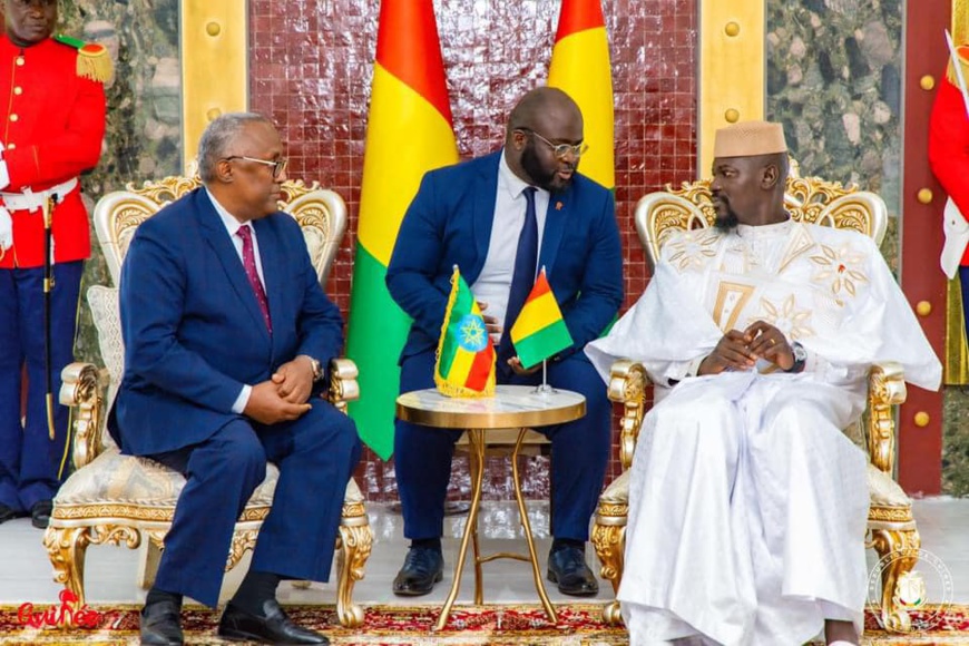 Guinée : accréditation de 7 nouveaux ambassadeurs