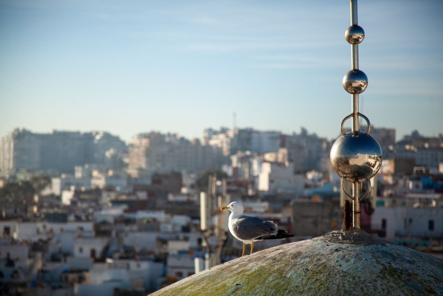 De l’eau pour demain : Tanger se mobilise pour l’or bleu De l’eau pour demain : Tanger se mobilise pour l’or bleu