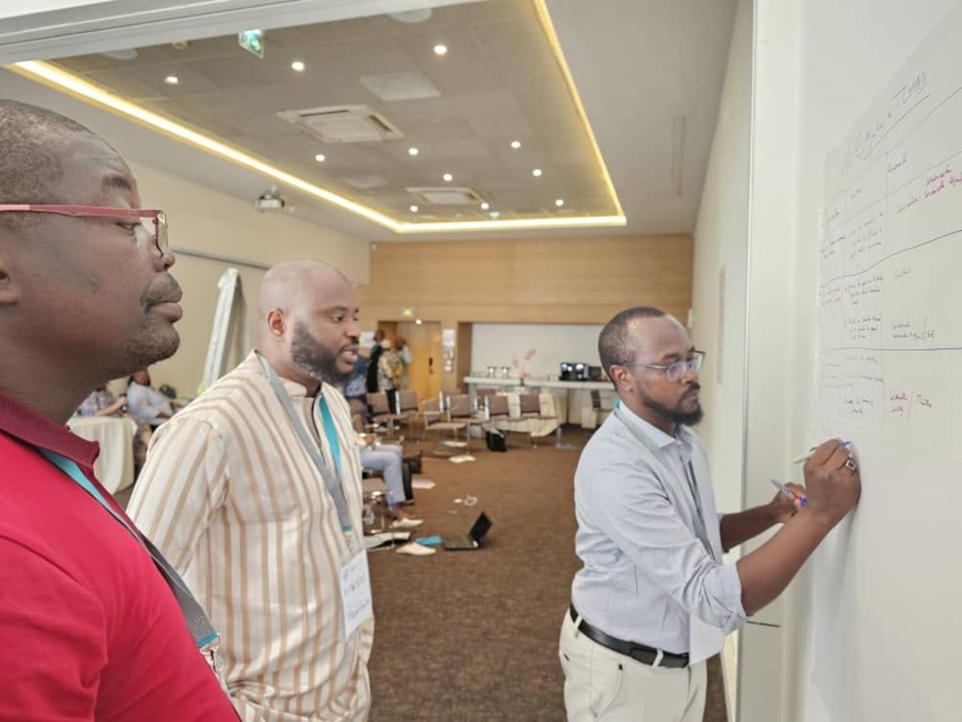 Tchad : AMP Health renforce les capacités des équipes du Programme National de Lutte contre le Paludisme