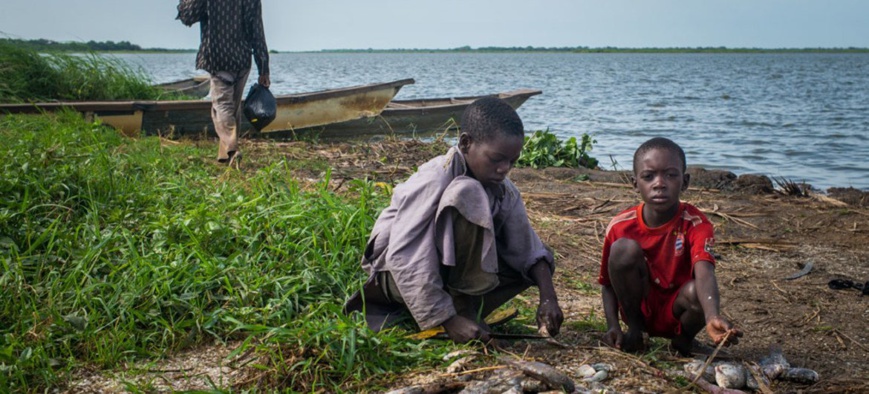 UNICEF / Tremeau Des enfants préparent du poisson fraîchement pêché dans le village de Tagal, dans la bassin du lac Tchad, au Tchad.