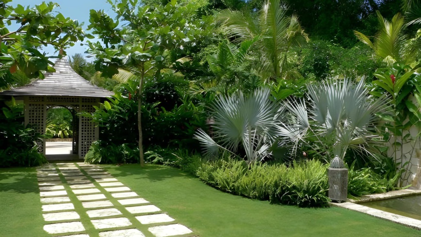 Cameroun : une agence de jardinage moderne promeut la protection de l’environnement Cameroun : une agence de jardinage moderne promeut la protection de l’environnement