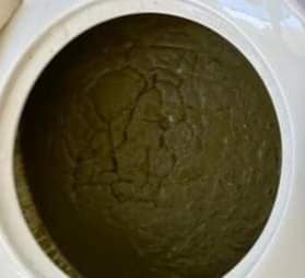 Tchad - Voyage Culinaire au Kanem : Saveurs des Oasis