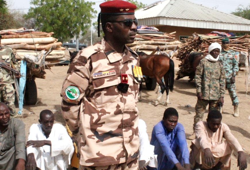 Des destructeurs de l'environnement arrêtés au Tchad