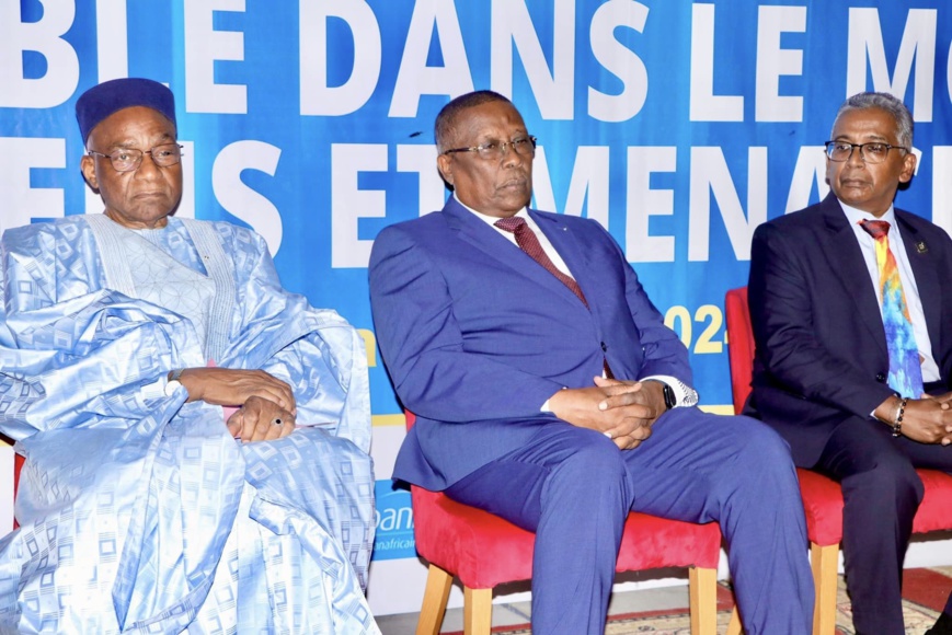 Tchad - 42ème conférence du District 9150 du Rotary Club International: Un succès à N'Djaména pour la paix et la coopération