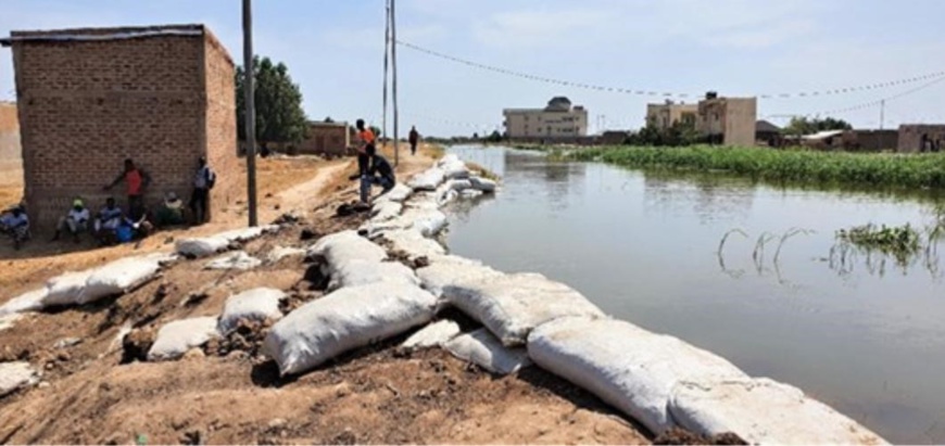 Tchad - Lutte contre les inondations à N'Djamena : un projet d'appui français en marche Tchad - Lutte contre les inondations à N'Djamena : un projet d'appui français en marche