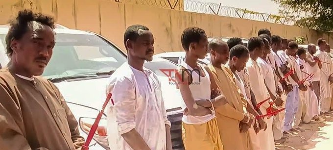 Images : Toumaï web média