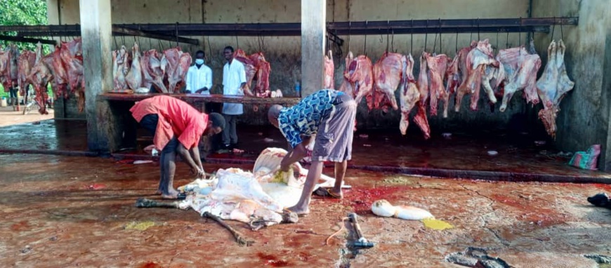 Tchad : L'air d'abattage de Kélo met mal à l'aise la population environnante Tchad : L'air d'abattage de Kélo met mal à l'aise la population environnante