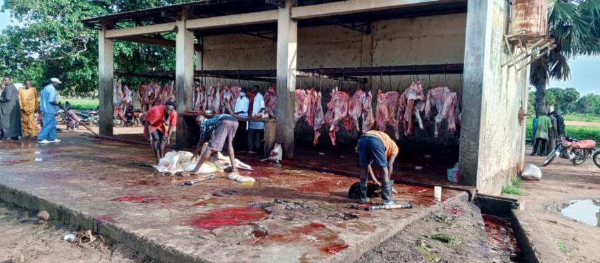 Tchad : l'aire d'abattage de Kelo met mal à l'aise la population environnante