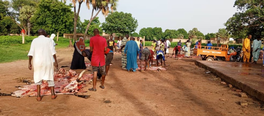 Tchad : l'aire d'abattage de Kelo met mal à l'aise la population environnante
