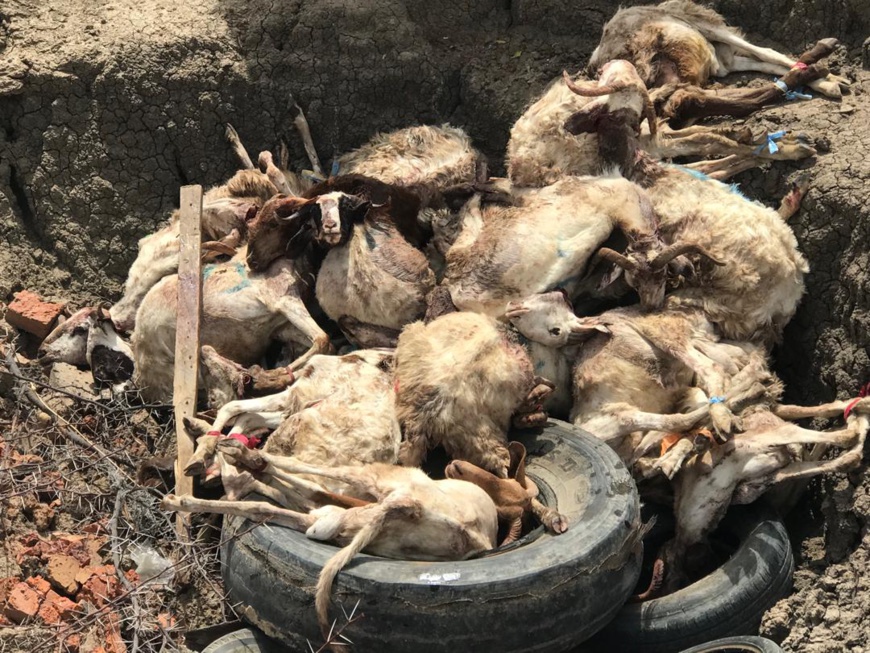 Tchad : dons de bienfaisance, de la bonne volonté à l'égoïsme Tchad : dons de bienfaisance, de la bonne volonté à l'égoïsme