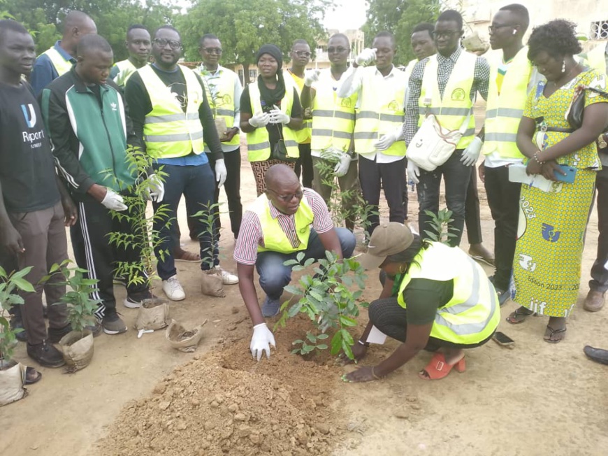 Tchad : Walia's Life lance une campagne de reboisement au lycée de Walia Tchad : Walia's Life lance une campagne de reboisement au lycée de Walia