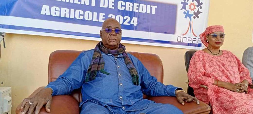 Tchad : l’ONAPE octroie des crédits agricoles aux producteurs de la Tandjilé