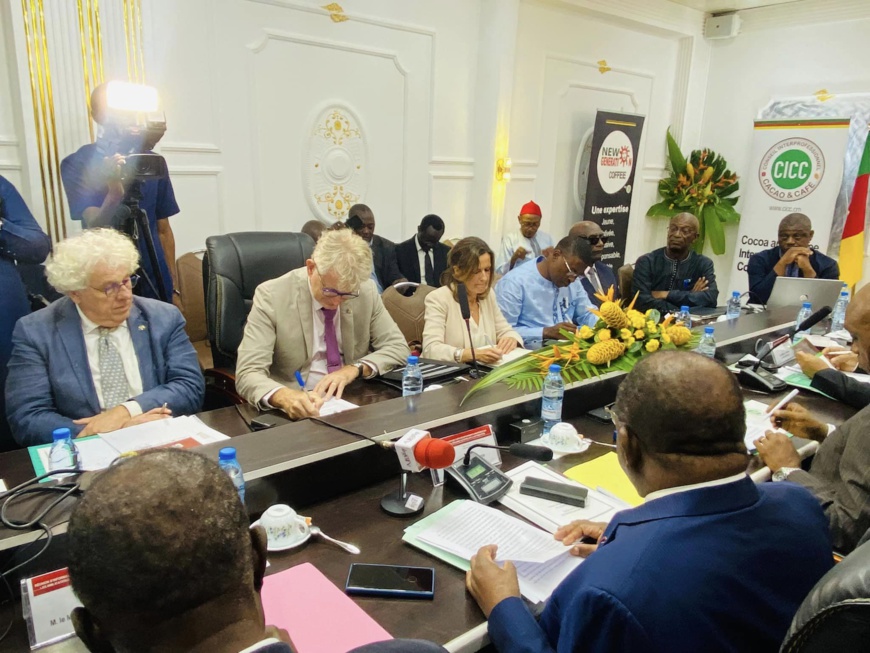 Cameroun : en phase avec les exigences du Règlement européen sur la déforestation Cameroun : en phase avec les exigences du Règlement européen sur la déforestation