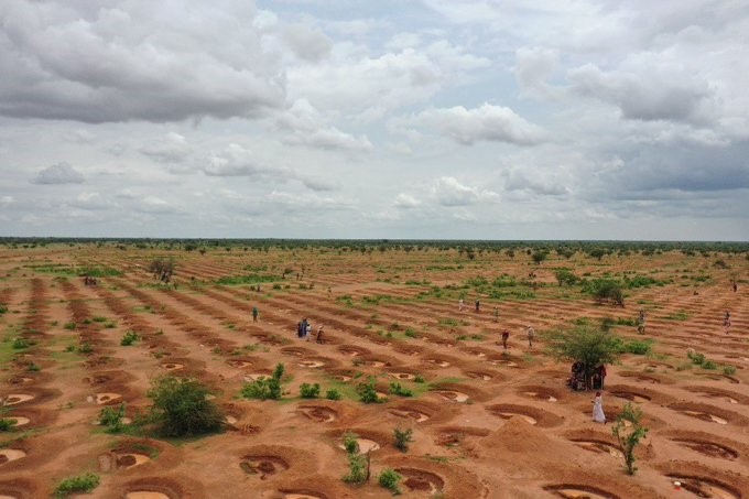 Tchad – L'ANADER forme 600 agriculteurs à Mongo : des techniques éprouvées pour booster les rendements