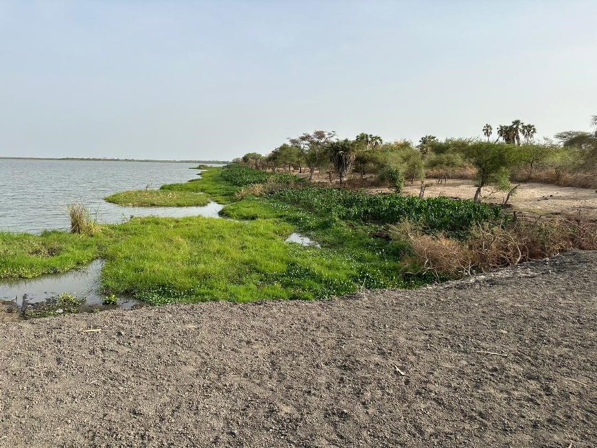 Images : Asma Achahboun WFP Tchad Images : Asma Achahboun WFP Tchad