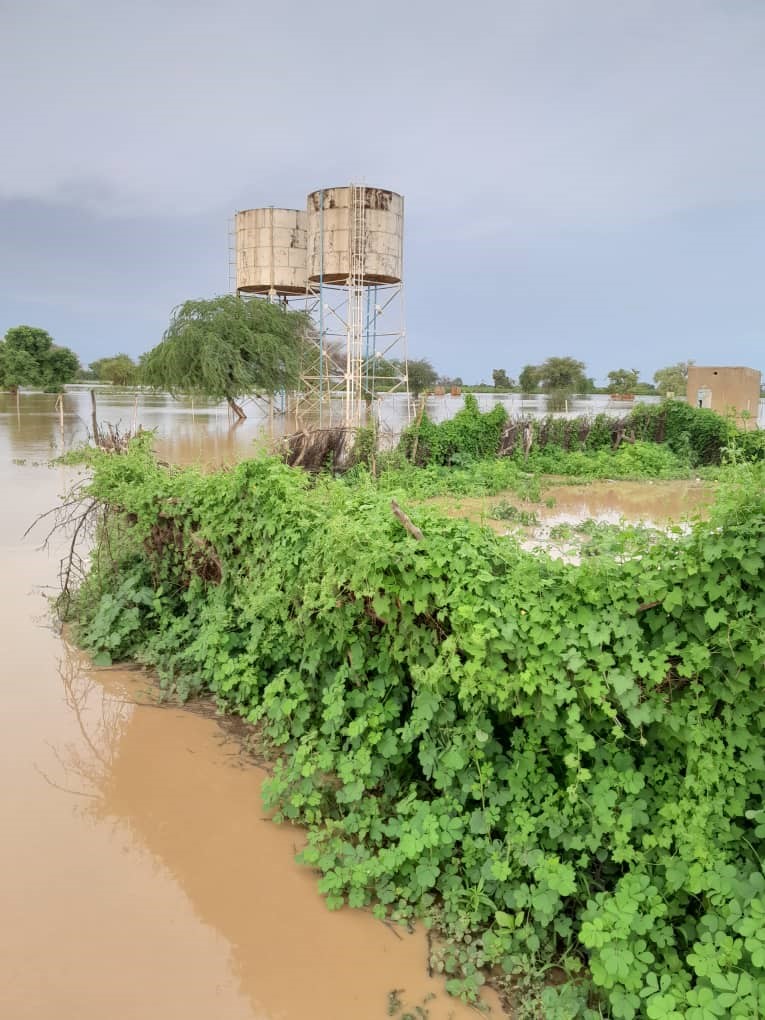 Tchad - Tragédie à Raguidé : Une famille emportée par les eaux