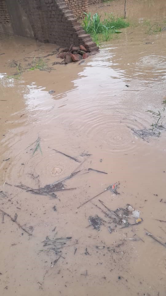 Tchad - Inondations catastrophiques à Aradib : le Bahar Azoum déborde et met des vies en danger