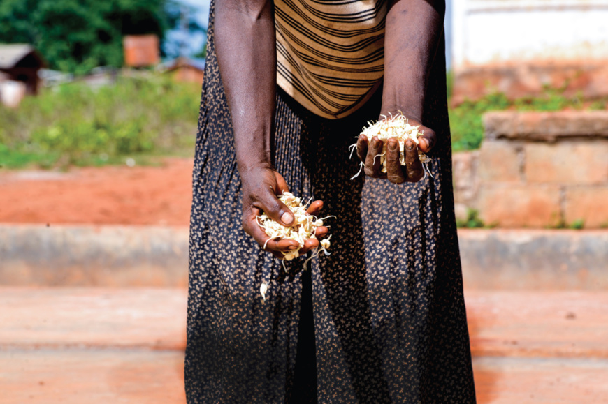 Illustration © DR Illustration © DR