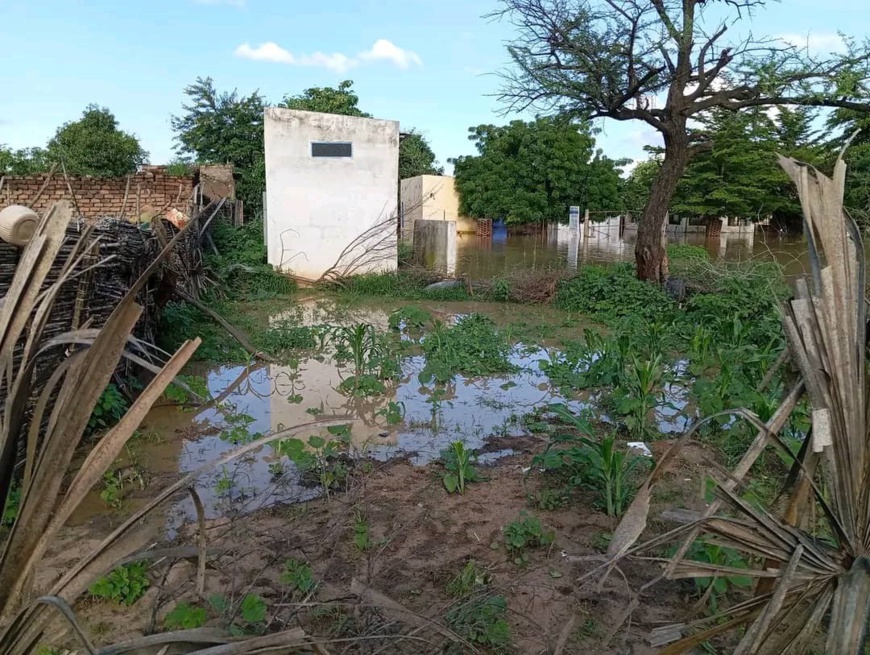 Tchad : Koukou-Angarana sous les eaux, un appel à l'aide urgent