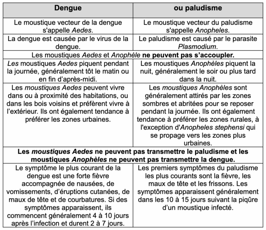 Dengue ou paludisme? Comment distinguer les maladies transmises par les moustiques Dengue ou paludisme? Comment distinguer les maladies transmises par les moustiques
