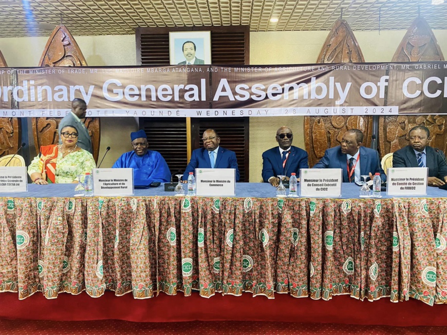 Cameroun : le ministre du Commerce dénonce les exportations frauduleuses de cacao et de café vers le Nigeria Cameroun : le ministre du Commerce dénonce les exportations frauduleuses de cacao et de café vers le Nigeria