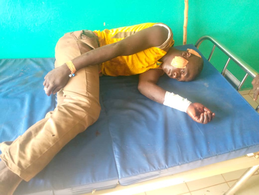 Tchad : cinq morts et sept blessés dans un conflit entre éleveurs et agriculteurs dans la Dodje