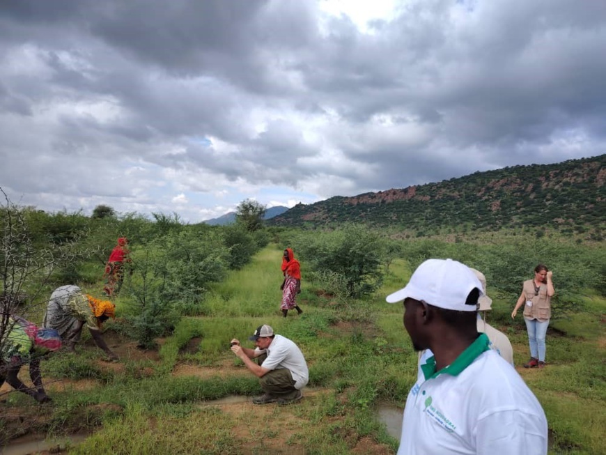 Images : Asma WFP Chad