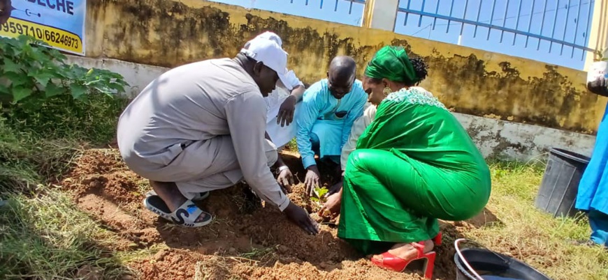 Tchad : à Abéché, l'ADAH contribue à la reforestation lors de la Semaine nationale de l'arbre Tchad : à Abéché, l'ADAH contribue à la reforestation lors de la Semaine nationale de l'arbre