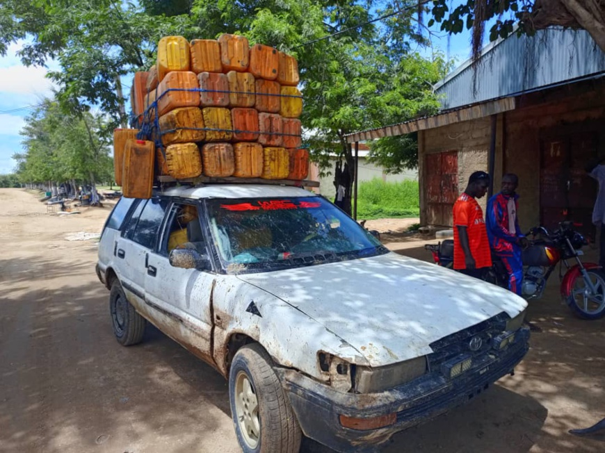 Le phénomène est financé par des barons presqu’invisibles, parfois placés au sommet de l’Etat. Le phénomène est financé par des barons presqu’invisibles, parfois placés au sommet de l’Etat.