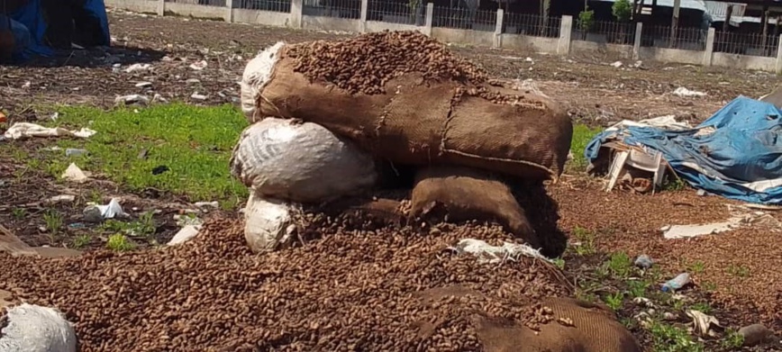 Tchad : Gaspillage au Marché de Fruits du 7e Arrondissement de N'Djamena Tchad : Gaspillage au Marché de Fruits du 7e Arrondissement de N'Djamena