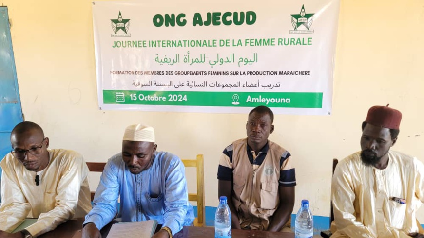 Tchad : au Ouaddaï, l'ONG AJECUD renforce les capacités des femmes rurales sur la production maraîchère Tchad : au Ouaddaï, l'ONG AJECUD renforce les capacités des femmes rurales sur la production maraîchère