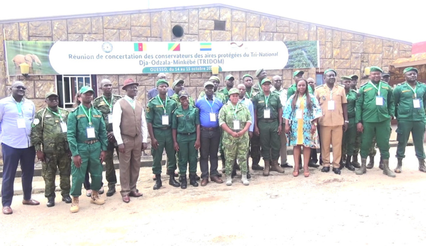 Forêt/TRIDOM : Une dynamique innovante concernant la préservation et la gestion responsable des ressources biologiques. Forêt/TRIDOM : Une dynamique innovante concernant la préservation et la gestion responsable des ressources biologiques.