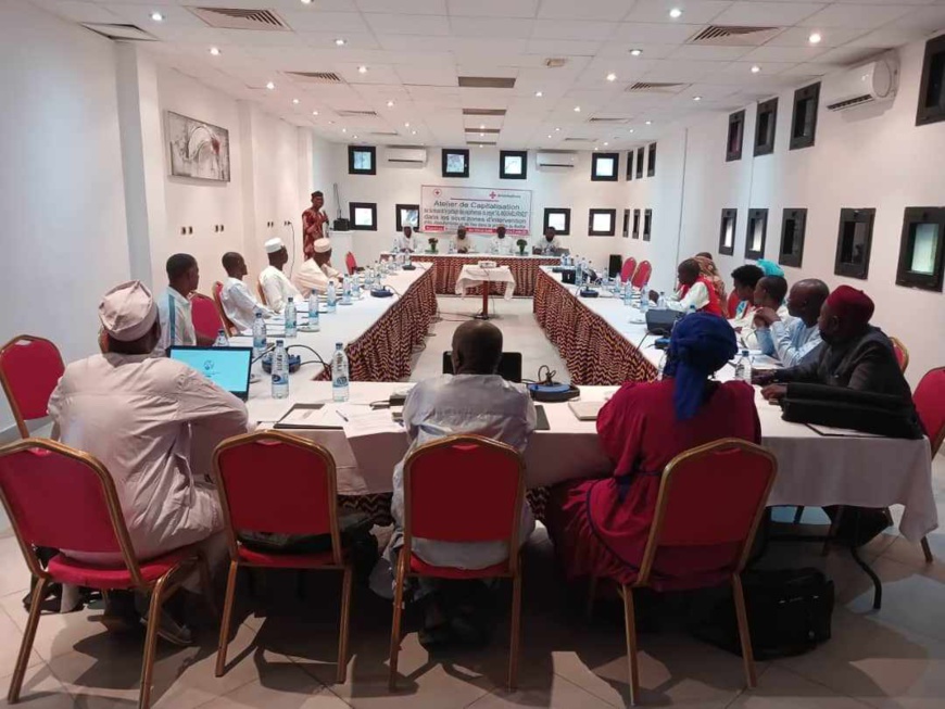 Tchad : atelier de capitalisation des résultats d'évaluation du projet migration de la Croix-Rouge